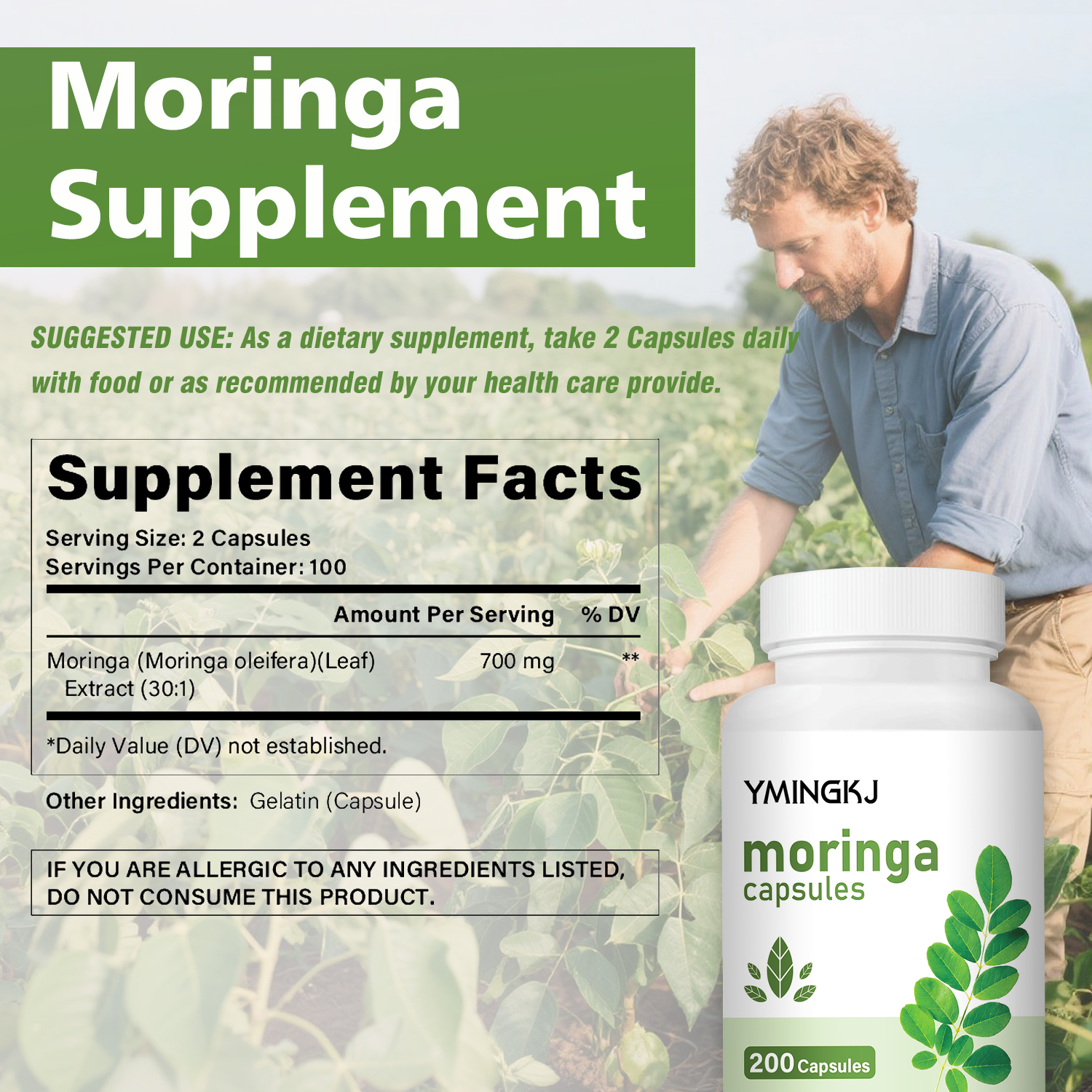 Organic Moringa Oleifera Leaf  - مراجعة Moringa Leaf Powder وسعره