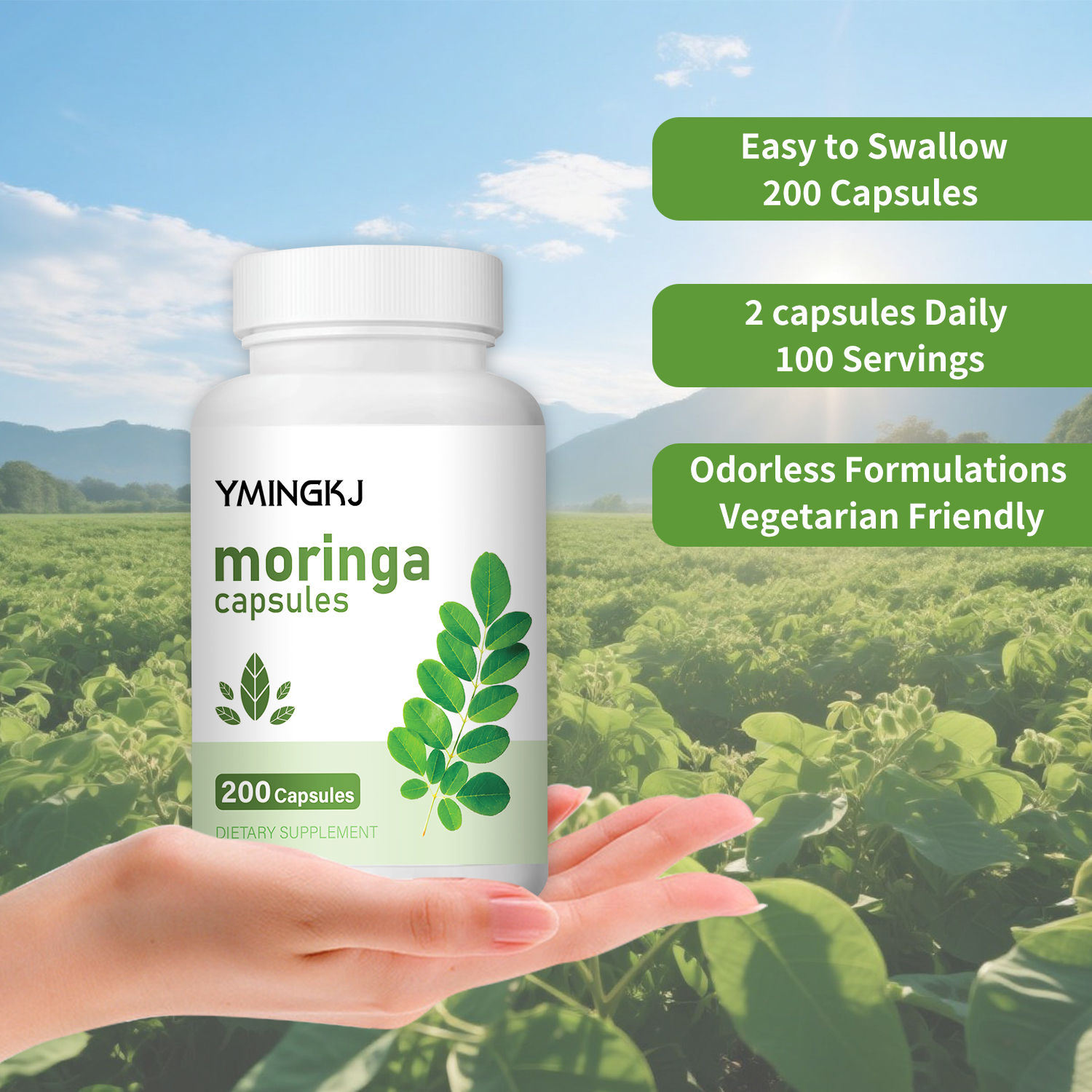 Organic Moringa Oleifera Leaf  - مراجعة Moringa Leaf Powder وسعره