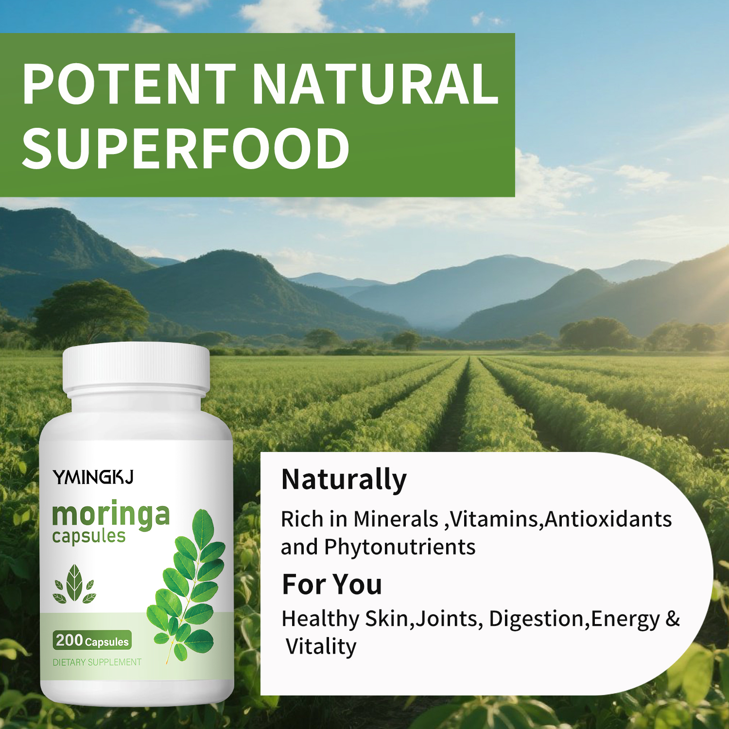 Organic Moringa Oleifera Leaf  - مراجعة Moringa Leaf Powder وسعره