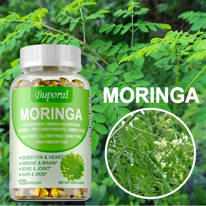 Moringa Capsules - Support Imm - مراجعة Moringa Leaf Powder وسعره