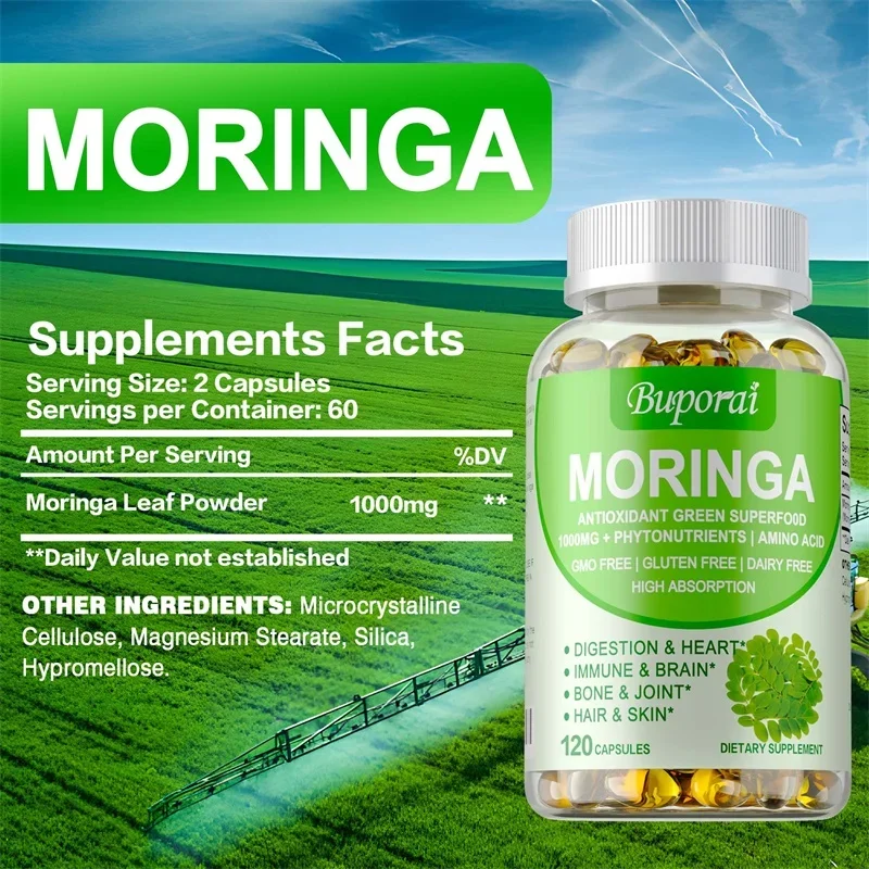 Moringa Capsules 1000mg - Supp - مراجعة Moringa Leaf Powder وسعره